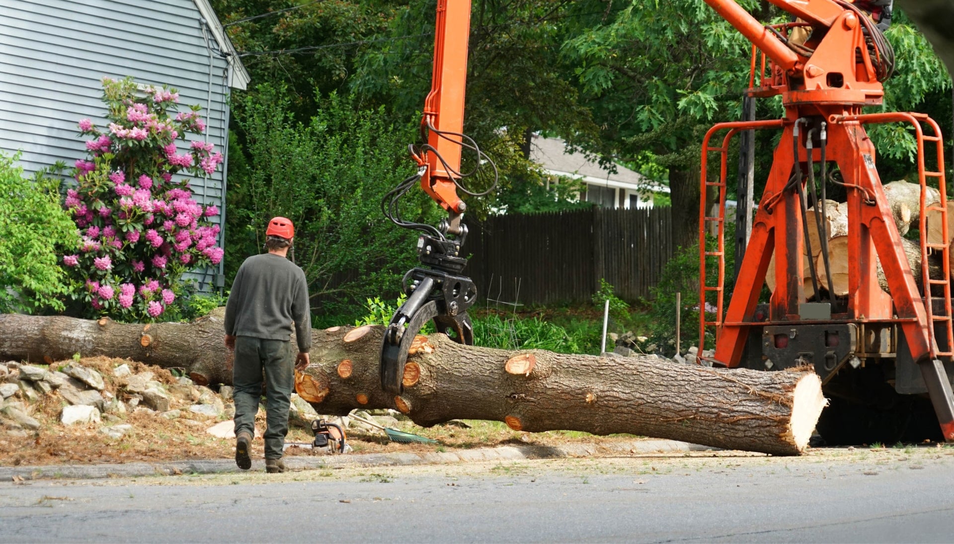 Local partner for Tree removal services in Costa Mesa